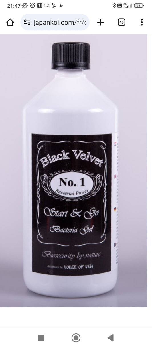 Black Velvet bactérie en gel